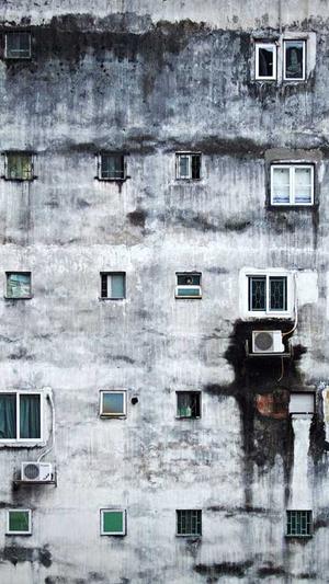 seo在线分析工具截图4