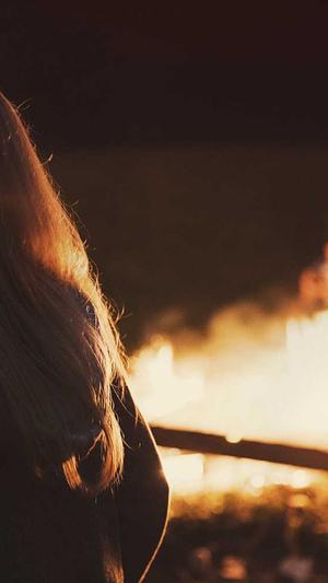 东莞关键词seo优化工具截图4