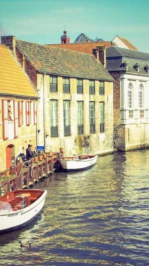 泛站群目录截图5