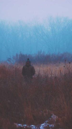 爱站网seo工具截图1