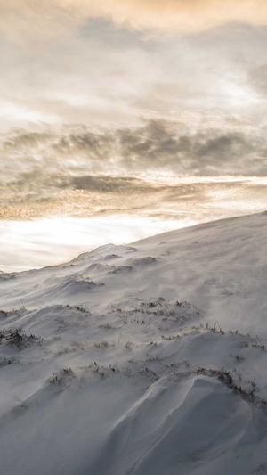 江津网站建设截图5