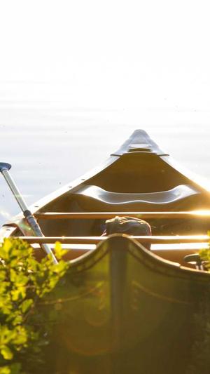 南充网站建设截图3