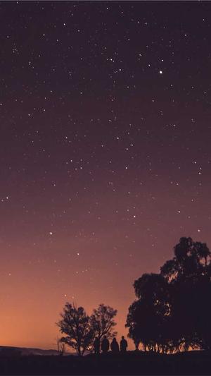 免费网站的建设截图4