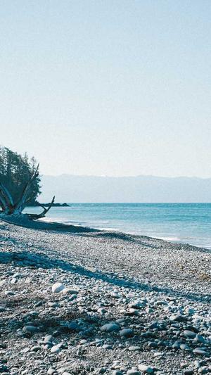 怎么自己写蜘蛛池程序截图1