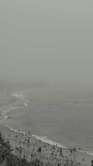 蜘蛛矿池怎么样截图2