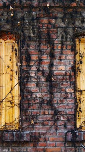 seo发布工具截图4