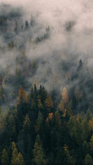 舟山网站建设截图4