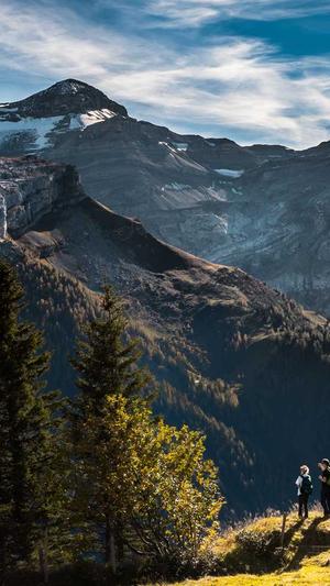 谷歌seo工具截图2