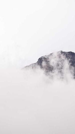 搭建蜘蛛池截图1