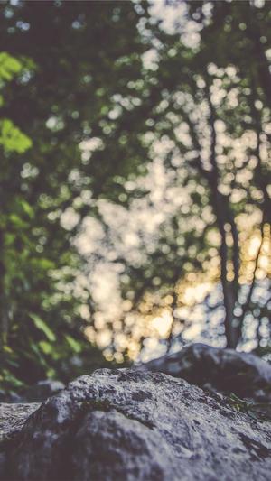 泛目录解析站群程序截图1