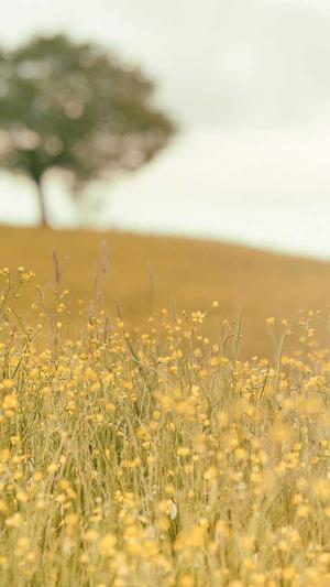 网站建设深截图3