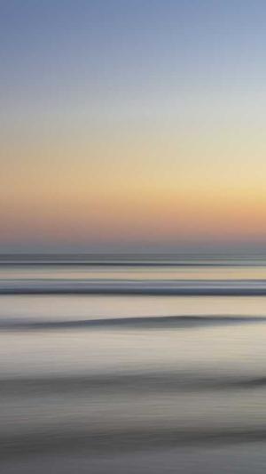 落月蜘蛛池站群系统截图4