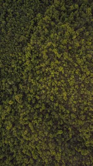 西宁网站建设截图4