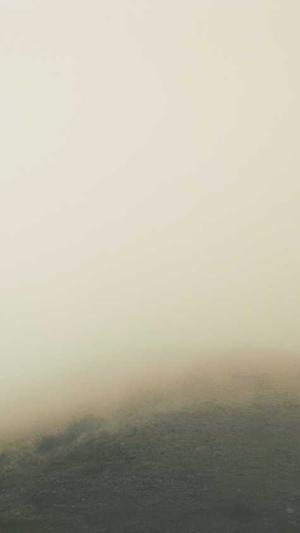 湖南网站建设截图2