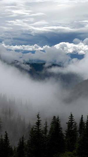 汕头seo优化工具截图3