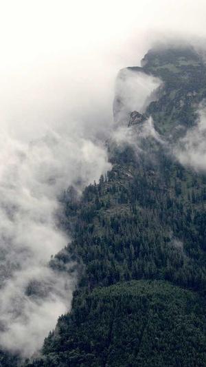 seo点击工具排名截图3