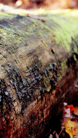 昆山企业网站建设截图1