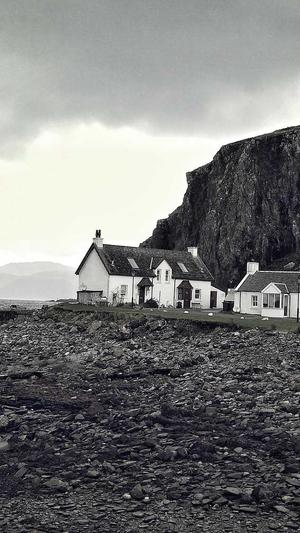 学习seo有用吗截图1