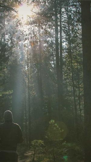 常用seo站长工具包括截图3