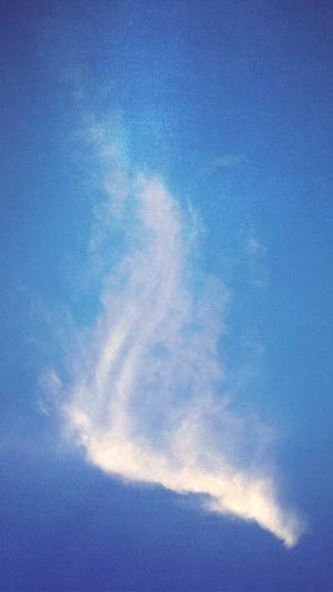 个人免费网站建设截图1