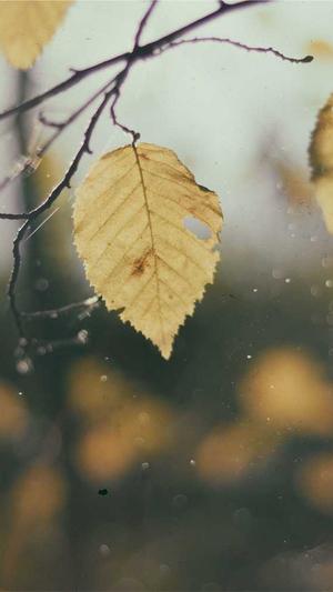 成都网站建设招聘截图2